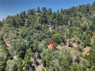 0 Pine unit IG25156077, Twin Peaks, CA 92391 - photo 3