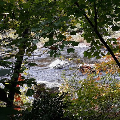 78 Canal Dr, Readsboro, VT 05350 - photo 2