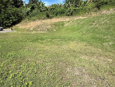 0 Carr 411 Km 0 2 Int Bo Calvache unit MFRPR9117701, Rincon, PR 00677 - photo 5