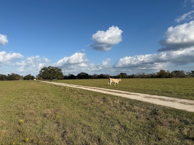 31619 Texas 36, West Columbia, TX 77486 - photo 4