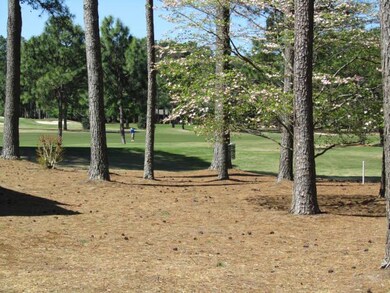 Golf View