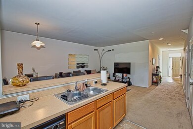 246 Garrison Way, Fruitland, MD 21826 - photo 6