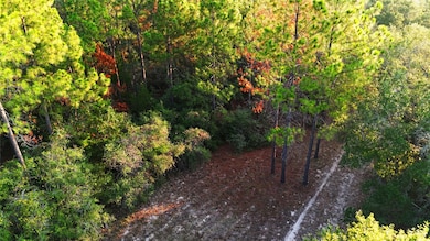 TBD County Road 15, Hallettsville, TX 77964 - photo 2