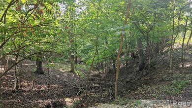 545 Friar Tuck Ct, Charrette Township, MO 63357 - photo 4