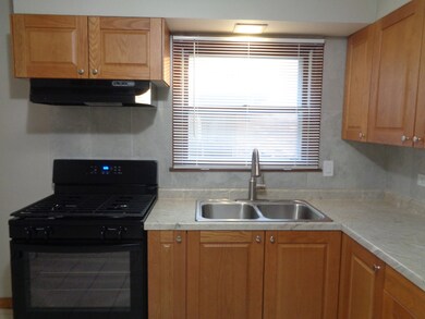 10533 Parkside Ave unit 2, Palos Heights, IL 60463 - photo 4