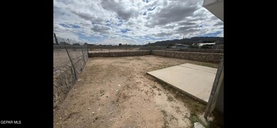 IMG_9374