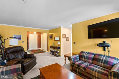 4650 Alcott Way unit 203, Owings Mills, MD 21117 - photo 5