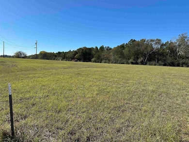 13B  / TBD Old Spanish Trial Dr, Alto, TX 75925 - photo 3