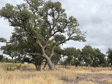 290 Stallion Dr unit 139, Harper, TX 78631 - photo 5