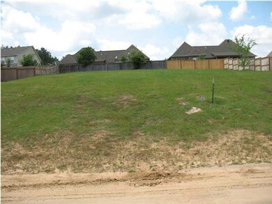 0 Hartfield Dr unit 152 1241727, Madison, MS 39110 - photo 4