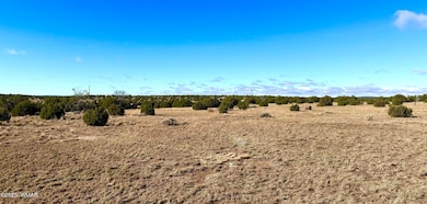 0 Cr 8637 Lot #210, Concho, AZ 85924 - photo 2