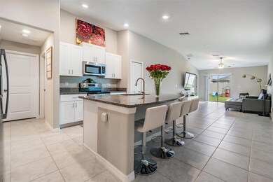 31310 Barrel Wave Way, Wesley Chapel, FL 33545 - photo 6