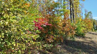 20151016_141617_Richtone(HDR) (800x450)