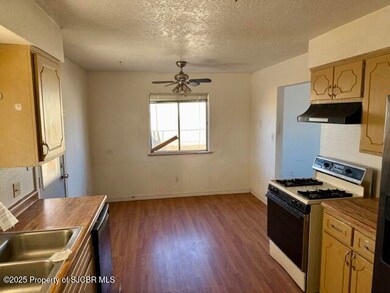 325 N Moore St, Bloomfield, NM 87413 - photo 7