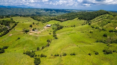 Km 1.6 633, Morovis, PR 00687 - photo 4