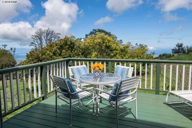 594 Hapapa Rd, Kula, HI 96790 - photo 6