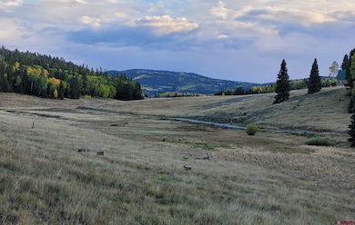 282 Aspen Trail, Cimarron, CO 81220 - photo 7