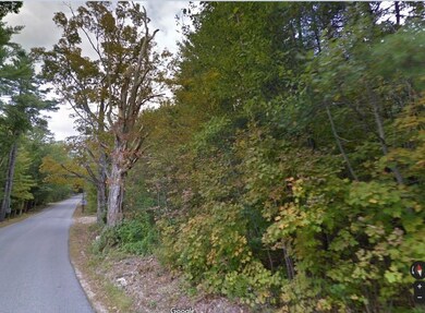 M-34 L-18 Gold St unit Map 34 Lot 18, Milton, NH 03851 - photo 2