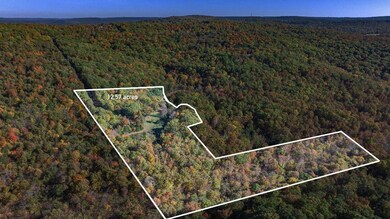 14161 Low Gap Rd, West Fork, AR 72774 - photo 6