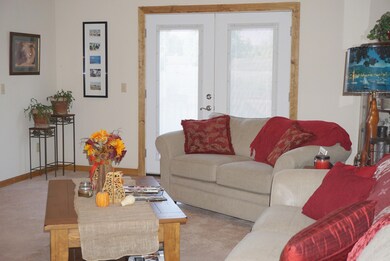 New Patio Doors