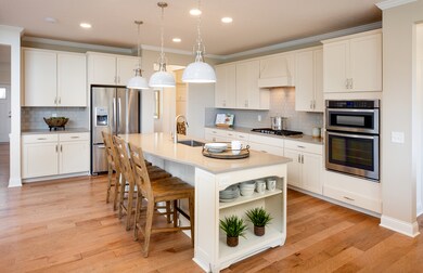 3619 Lime Light Dr, Naperville, IL 60564 - photo 7