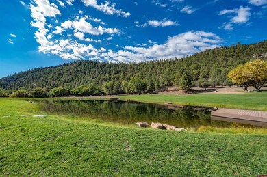 Mile Post 7.3 Highway 32 Hwy unit Hines Ranch Retreat, Apache Cre, NM 87820 - photo 4