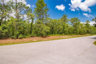 0 Mount Sparrow Rd unit MFRTB8388991, Weeki Wachee, FL 34614 - photo 5