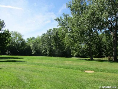 Backyard.