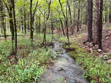 Tbd 0030 Goats Bluff Summerfield Oklahoma, Summerfield, OK 74966 - photo 5