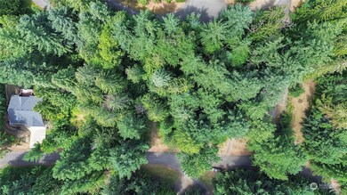 21900 183rd Ave SE, Yelm, WA 98597 - photo 5