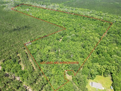 Aerial Overhead