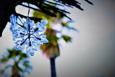 Happy Holidays!