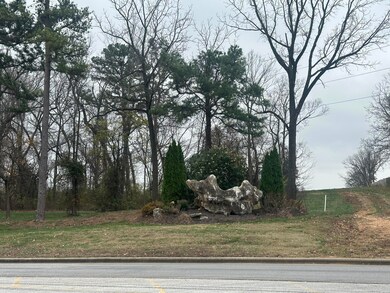 806 E Tracker Rd, Nixa, MO 65714 - photo 2