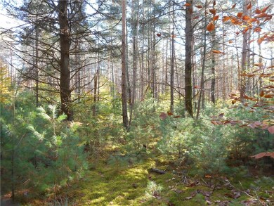 Lot / Land
