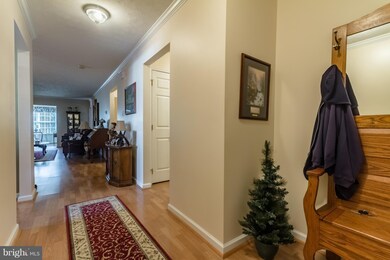 101 Knollwood Ct, Winchester, VA 22602 - photo 6