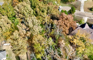 0 Ashton Place unit 4132186, Clinton, MS 39056 - photo 7