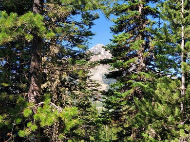 Lone Mountain Views