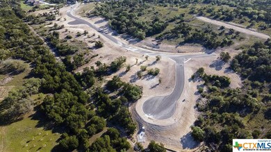 25118 Buffalo Clover, Boerne, TX 78006 - photo 5