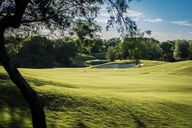 31047 Doe Run Ct, Whitney, TX 76692 - photo 6