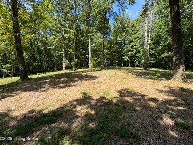 1193 Patriots Landing Ln, Falls of Rough, KY 40119 - photo 4