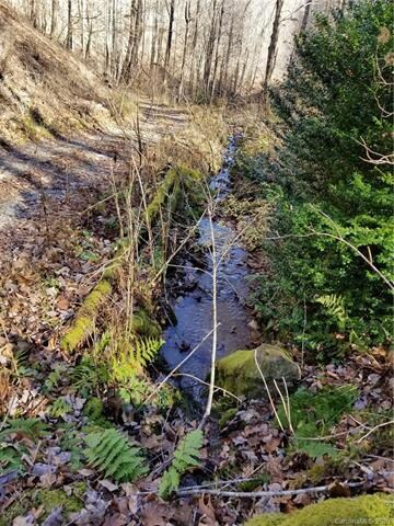 000 Roaring Fork Rd, Burnsville, NC 28714 - photo 4