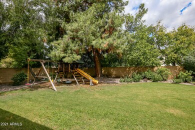 Backyard2 (3)