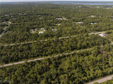 14142 Dunlap Ave, Port Charlotte, FL 33953 - photo 5