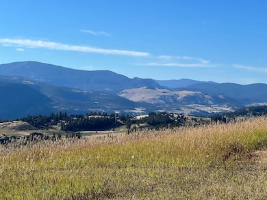 2069 A Johnson Rd, Rice, WA 99167 - photo 6