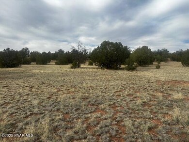 Lot 382se Gable Ave, Seligman, AZ 86337 - photo 6