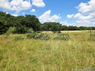TRACT 13 County Road 251, Hondo, TX 78861 - photo 3