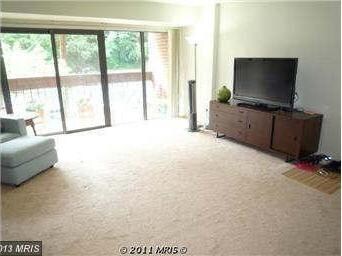51 Skyhill Rd unit 204, Alexandria, VA 22314 - photo 2