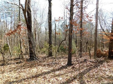 Lot 8 Furnace Rd, Lincolnton, NC 28092 - photo 2