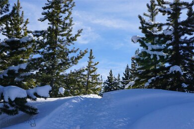 Morning Powder