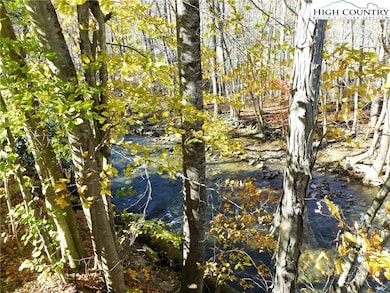 This is your view right off of your back deck!